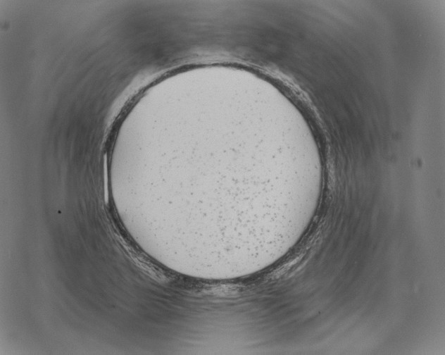 X0000069381175200606091643