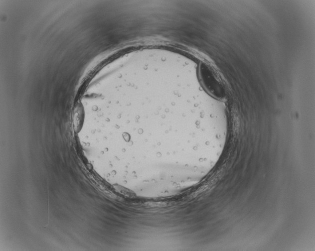 X0000069381176200606091643