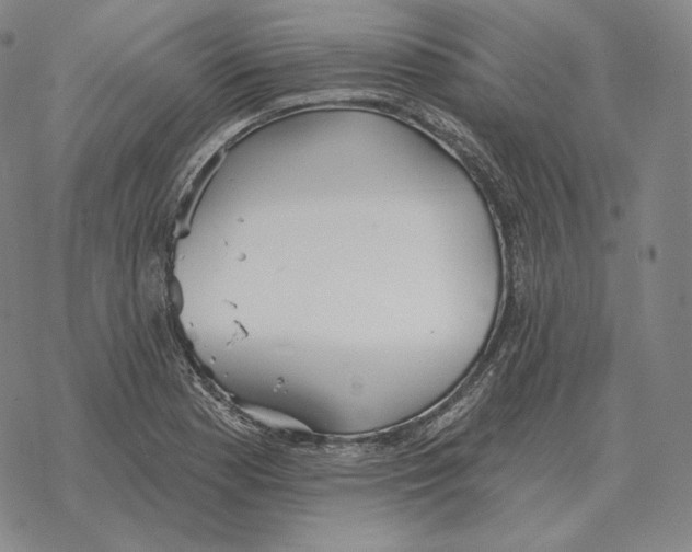 X0000069381177200606091643