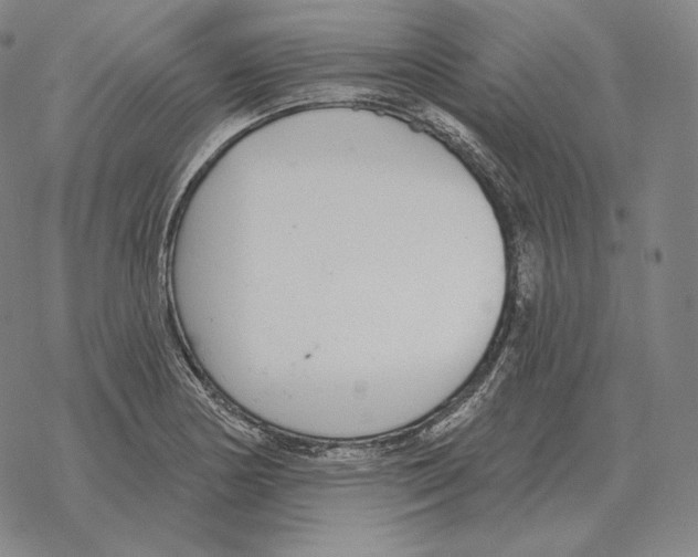 X0000069381178200606091643