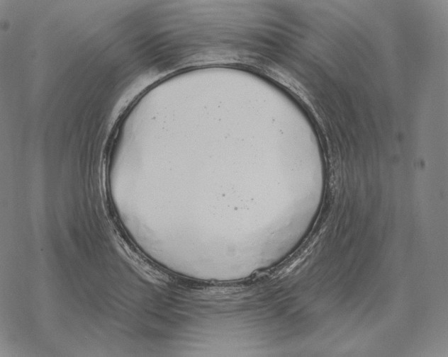 X0000069381179200606091643