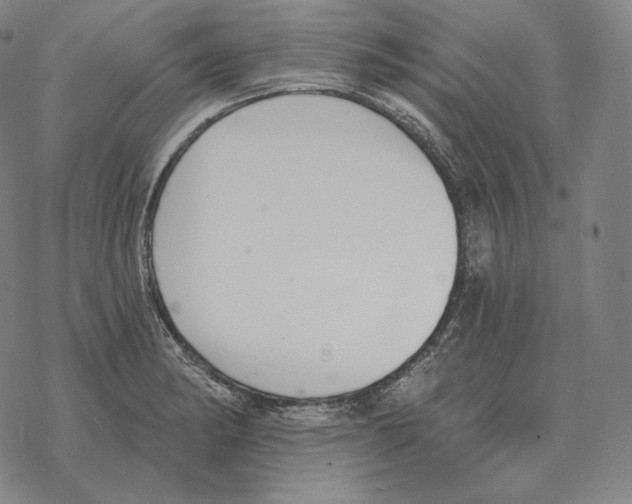 X0000069381182200606091643