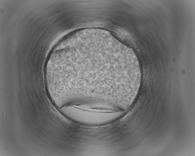 X0000069381184200606091643