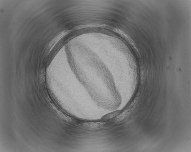 X0000069381185200606091643