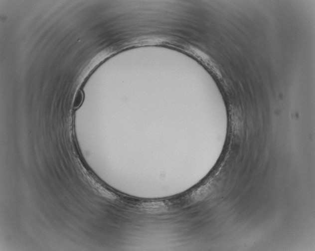 X0000069381186200606091643