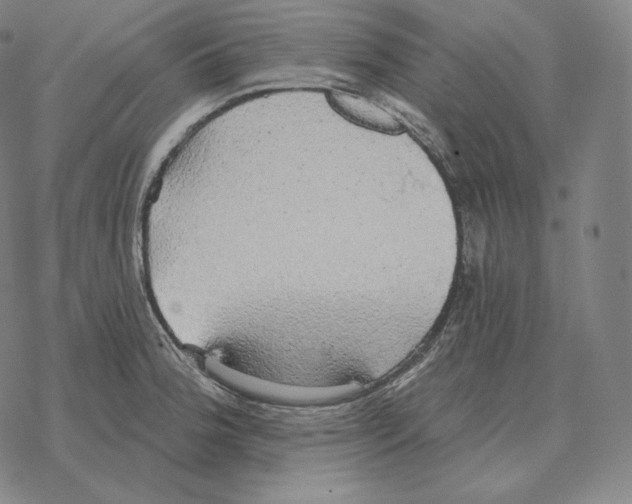 X0000069381188200606091643