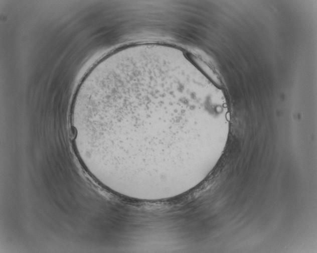 X0000069381191200606091643