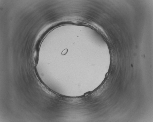 X0000069381192200606091643