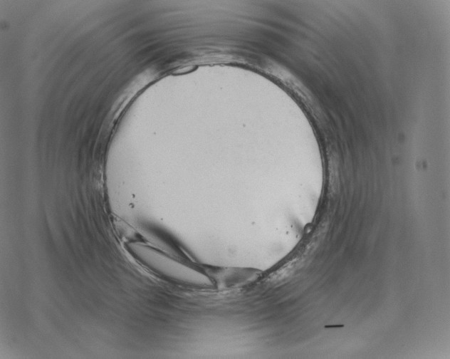 X0000069381193200606091643