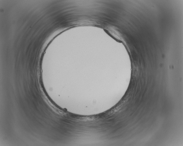 X0000069381195200606091643