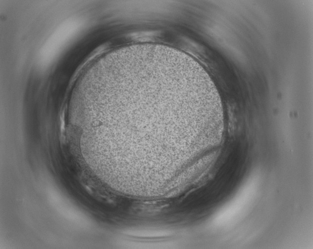 X0000069381198200606091643