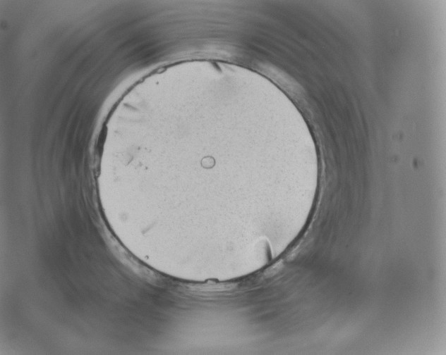 X0000069381200200606091643