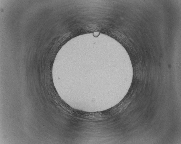 X0000069381201200606091642