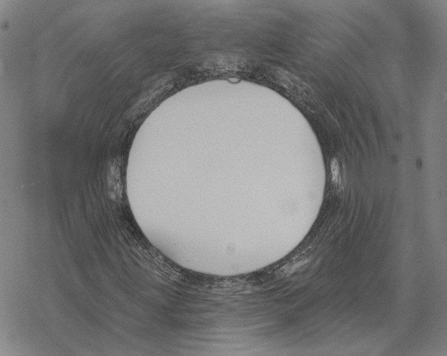 X0000069381203200606091642