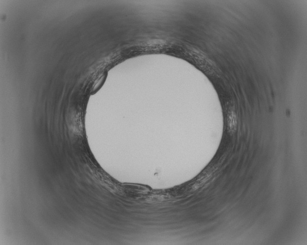 X0000069381204200606091642