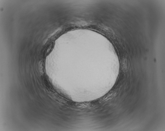 X0000069381205200606091642