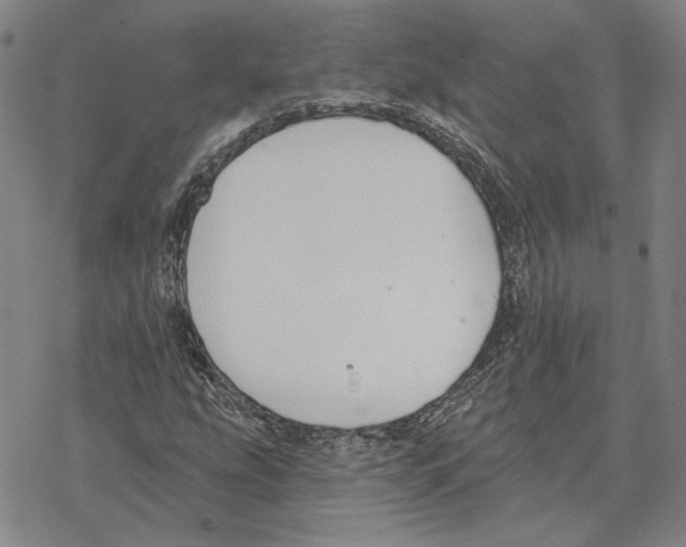 X0000069381207200606091642