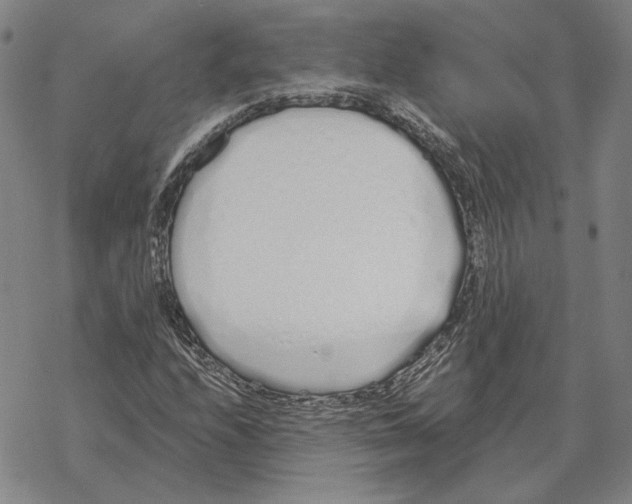 X0000069381208200606091642