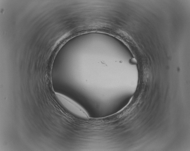 X0000069381210200606091642