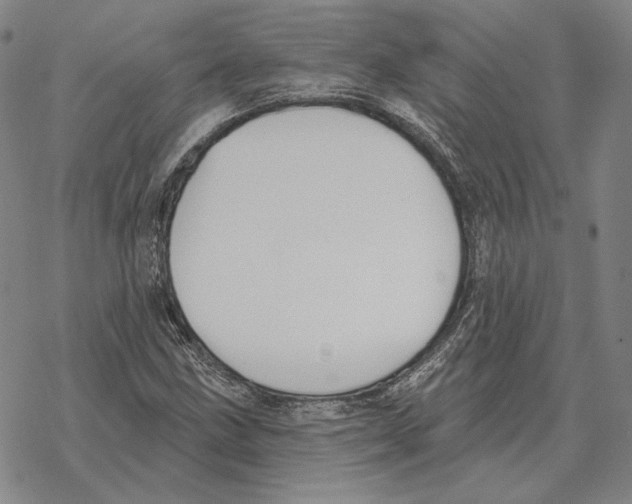 X0000069381211200606091642