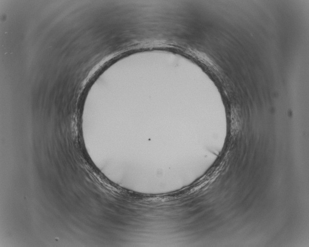 X0000069381212200606091642