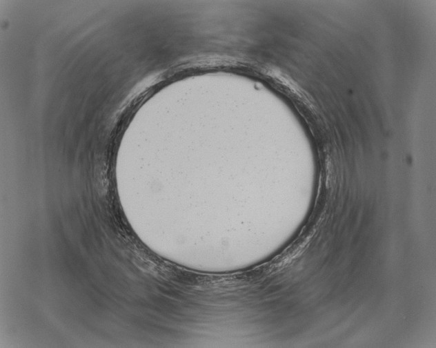 X0000069381213200606091642