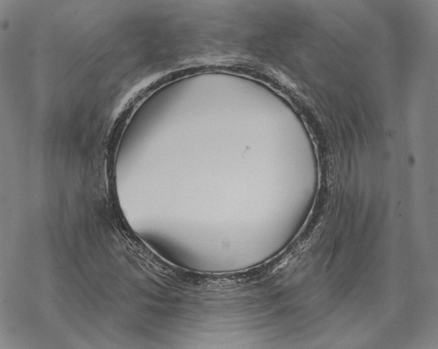 X0000069381214200606091642