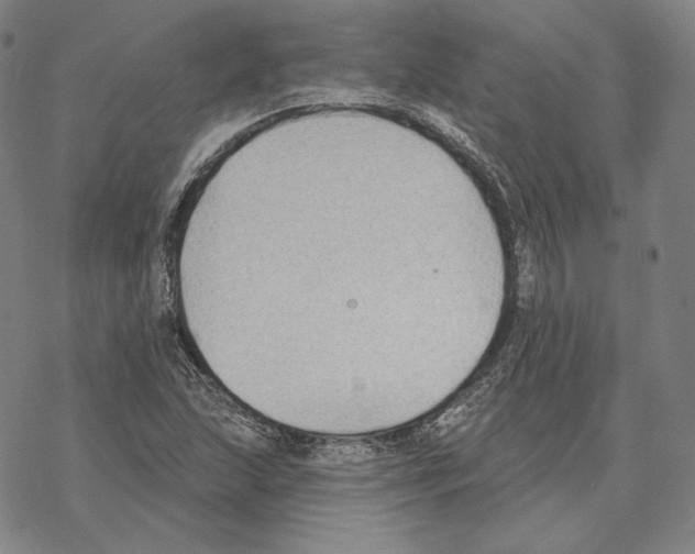 X0000069381215200606091642