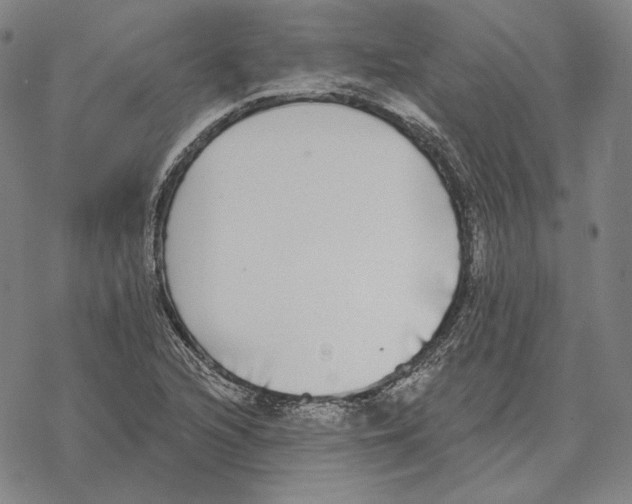 X0000069381216200606091642