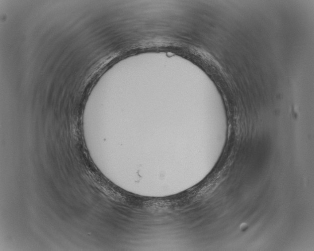 X0000069381217200606091642