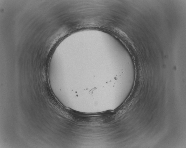 X0000069381218200606091642