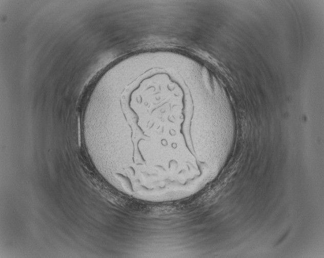 X0000069381219200606091642