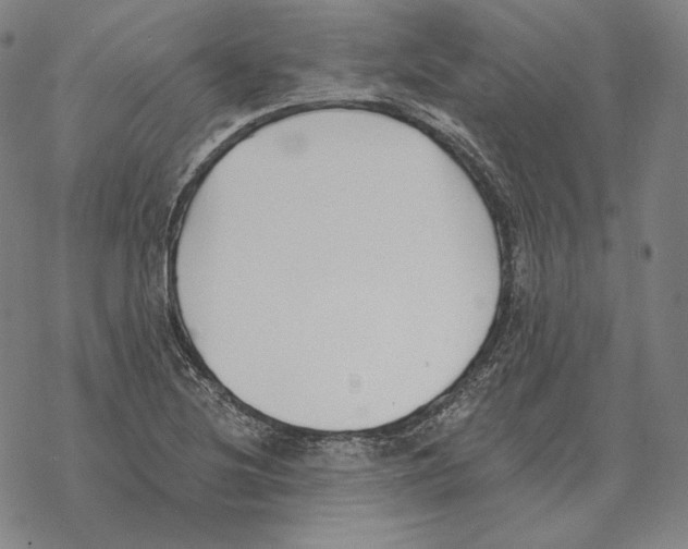 X0000069381220200606091643