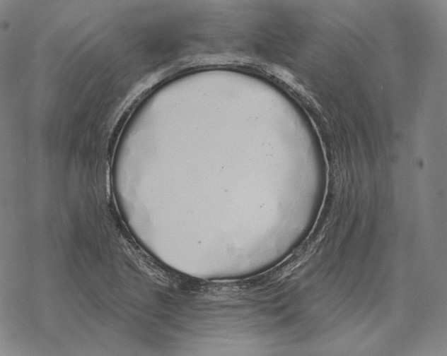 X0000069381221200606091643