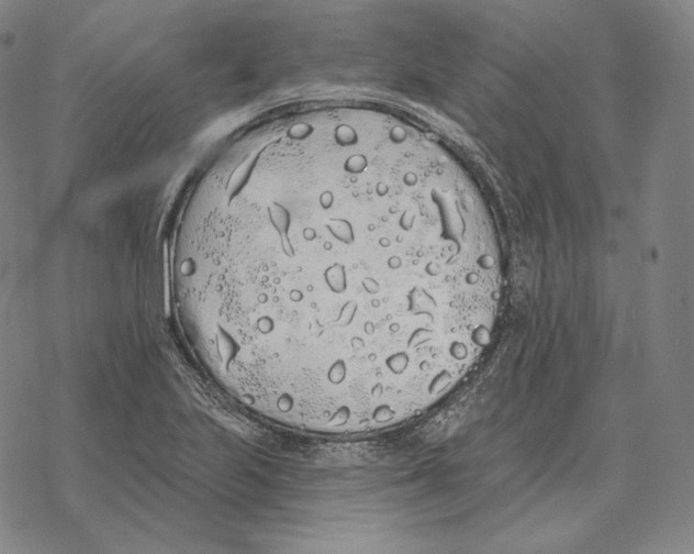 X0000069381223200606091643