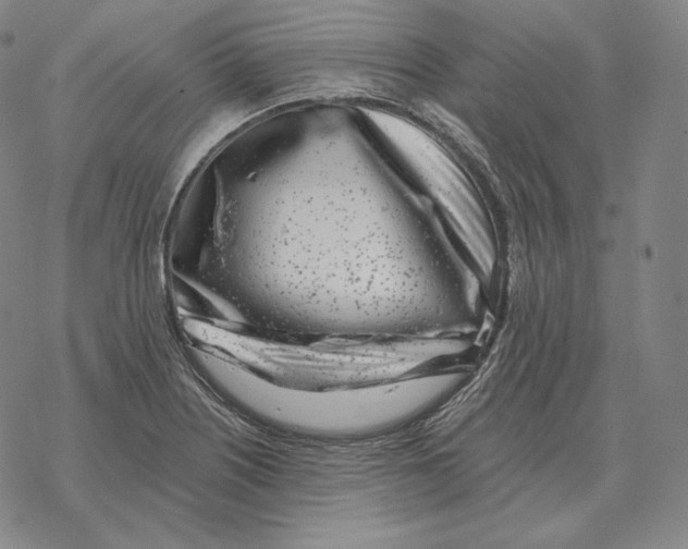 X0000069381226200606091643