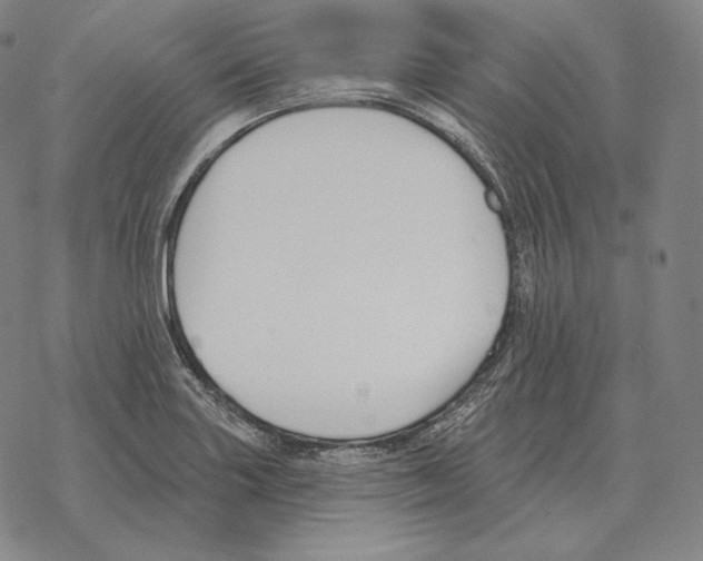 X0000069381227200606091643