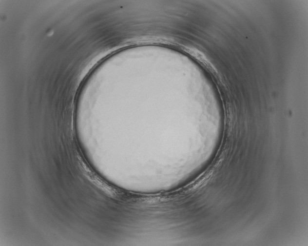 X0000069381228200606091643