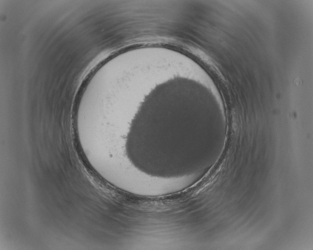 X0000069381229200606091643