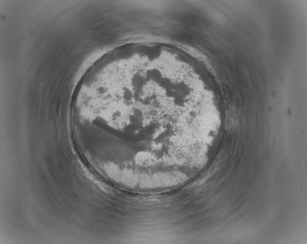 X0000069381231200606091643