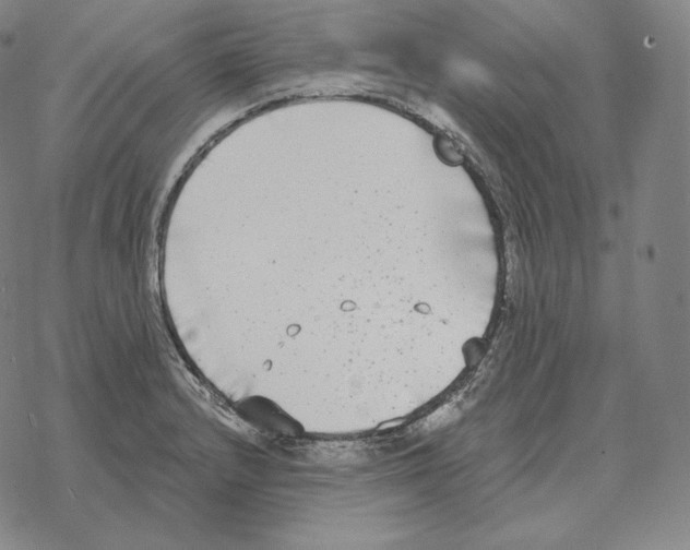 X0000069381232200606091643