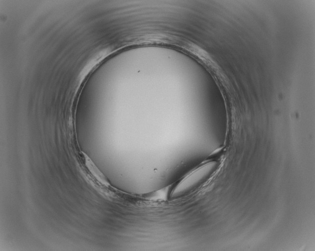 X0000069381234200606091643