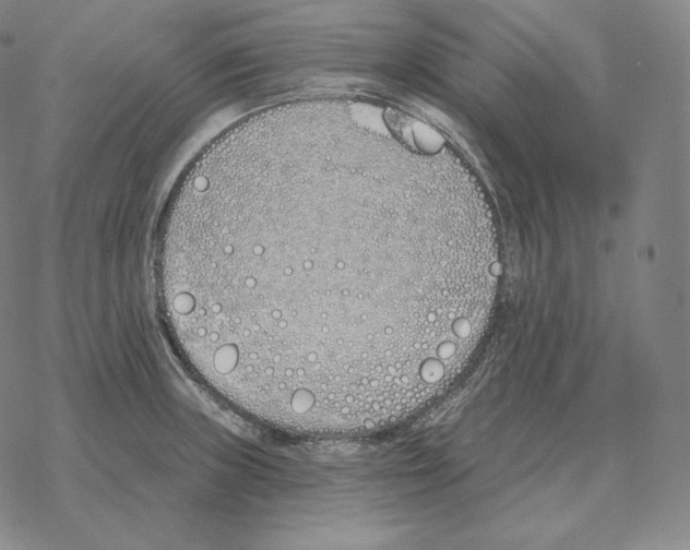 X0000069381235200606091643