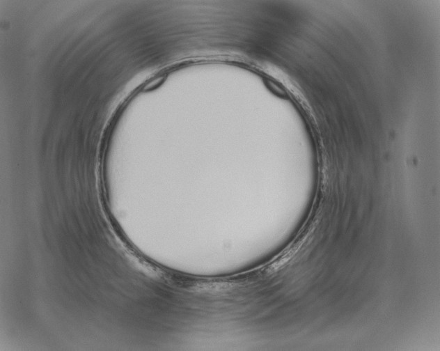 X0000069381237200606091643