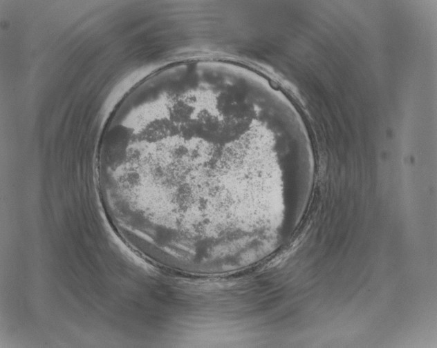 X0000069381239200606091643