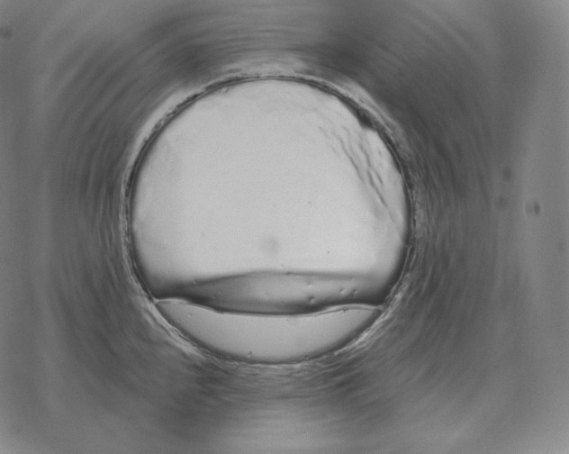 X0000069381240200606091643