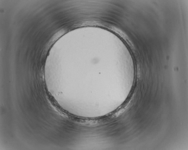 X0000069381241200606091643