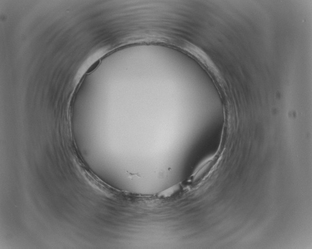 X0000069381242200606091643