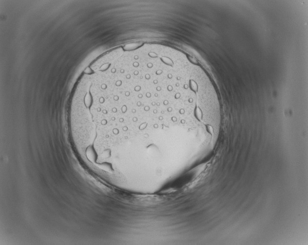 X0000069381243200606091643