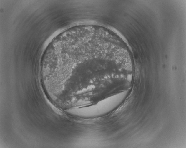 X0000069381245200606091643